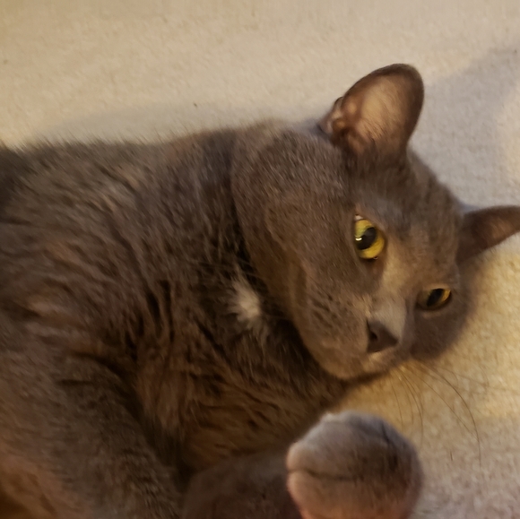 My Bebes! - Picture 7 of 15